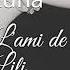 Livre Audio L Ami De Lili