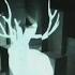 Miike Snow Animal 2nd UK Version