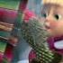 Masha E Orso Si Trasformano In Mashaandthebear Mashaeorso Shorts CactusInFiore