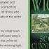 WICCA A Guide For The Solitary Practitioner Book Recommendation Witch Witchcraft Pagan Spiritual