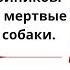 ЛЕТОПИСЬ ЧЕЧЕНСКОЙ ВОЙНЫ Полина Жеребцова Дневники