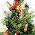 Finding A Christmas Tree