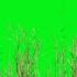 Top 12 Grass Green Screen Animations Effects HD Footage Chroma Key Grass Effects By Crazy Editor