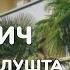 Обзор санатория Славутич Алушта Крым