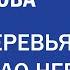 Почему деревья не растут до неба