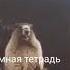 Суслик орёт