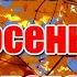 Тёплой шалью мягкой позолотой Листопад окутывает землю Здравствуй Осень золотая