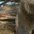 Mufasa The Lion King We Go Together Taka S Part Multilanguage