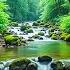 Soothing Relaxing Music Reduces Stress And Stops Thinking Too Much 2