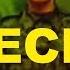 Про чеченскую войну Чеченская война видео Слайд шоу