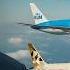 Trump GOES MAD As KLM Qantas Emirates Replace Boeing With Airbus Devastating Blow To US Aviation