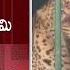 Tirumala One More Leopard Trapped In Cage Tirumala Leopard TTD SakshiTV