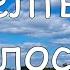 Жёлтый колосок пение детей