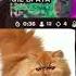 эх бля Memes Meme Fortnite Fortniteclips Fortnitememes