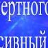 регрессивныйгипноз гипноз Чистка инертного человека в сеансе регрессивного гипноза