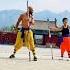 The Traditional Chinese Martial Arts Monkey Climbing The Stick Martialarts China Kungfu
