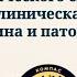 Расстройства аутистического спектра клиническая картина и патогенез Д В Иващенко