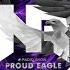 Nelver Proud Eagle Radio Show 336 11 YEARS IN DA MIX Pirate Station Online 04 11 2020 DnB