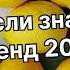 Танцуй если знаешь этот тренд 2024 года