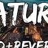 Natural Imagine Dragons Song Natural Slowed Reverb Lyrics