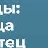 Папа что посеешь то и пожнешь Священник Федор Бородин