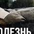 Ленин болезнь и смерть Диагноз нейросифилис Егор Яковлев