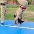 Madam Gir Gyi Gymnast Action Stunt Couplegoal Acrobatics Flip Viralshorts Flipfails Parkour
