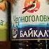 один из вас мой напарник а второй лживый говнюк