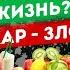 ДЕТОКС не спасет ЗОЖ МИФЫ Борис Цацулин интервью на канале Штаб Культуры