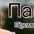 Папочке Анжелика Солянко Премьера песни 2025