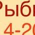 Рыбы Таро прогноз на неделю с 14 20 Октября 2024 года