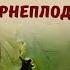 Если корневое Я принять за Плод получится корнеплод