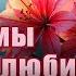 ВСЁ ЧТО МЫ КОГДА ТО ЛЮБИЛИ Роман Часть 5 Мария Метлицкая Аудиокнига Читает Марина Кочнева