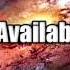 Sparta Available Base