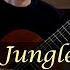 Jungle The Guitarists Way Book 1