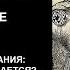 РУССКОЕ ЧЕРНОКНИЖИЕ ОБУЧЕНИЕ МАГИИ ОТВЕТЫ НА ВОПРОСЫ Обряд раскрещивания Отречение и Хула