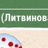 Почему снижается гемоглобин М Мария Литвинова Давайте жить здорово