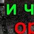 Пачкаем и чистим оружие Чистка двухстволки тоз 63 помпового ружья МР 133 и Сайги