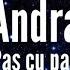 Andra Pas Cu Pas Versuri Lyrics