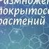 Биология 7 кл Пасечник 30 Размножение покрытосеменных растений