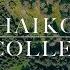 P Tchaikovsky Rare Collection П Чайковский Редкая коллекция