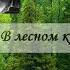 Э Асадов В лесном краю лирика читает Н Кравченко