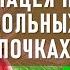 Брусника полезные свойства листьев брусники Брусника для ПОЧЕК печени цистит камни в почках