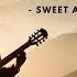 Sweet Acoustic Mix 1 Hour Indie Chill Instrumental Sweet Selection For Coffee Shop Cafe Vibes