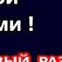 Это случилось со мной в Майами август 2024 ТАКОЕ В ПЕРВЫЙ РАЗ америка сша глогер майами