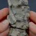 Here S An Outstanding Example Of Some Ichthyosaur Vertebrae Roughly 180 Million Years Old