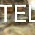 Lps Mv Wasteland