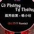 Cô Phương Tự Thưởng 杨小壮 孤芳自赏 DJ 培仔 Remix