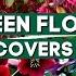 Top 10 Gorgeous Evergreen Flowering Ground Covers And Shrubs