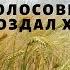 ЧЕЛОВЕК ПРИРУЧИЛ МНОГИЕ КОЛОСОВЫЕ РАСТЕНИЯ СОЗДАЛ ХЛЕБ ВЫРАЩИВАНИЕ ХЛЕБНЫХ ЗЛАКОВ ЭТО ЦИВИЛИЗАЦИЯ